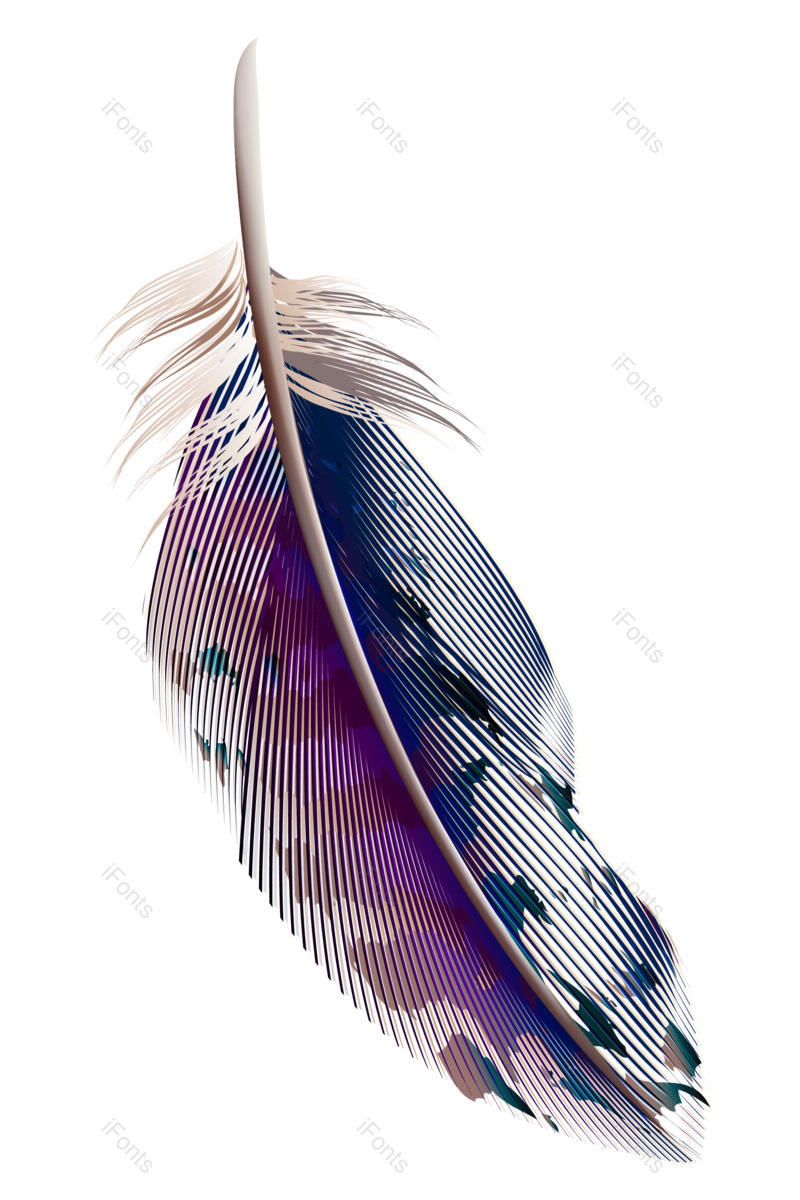 渐变图片,动物元素,矢量元素PNG,羽毛免抠素材